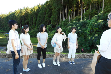 牛尾山